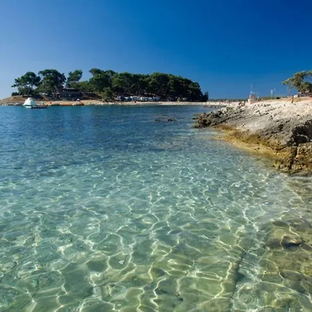 Percan * بريمونتيرا